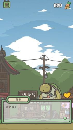 奥利维亚收养猫