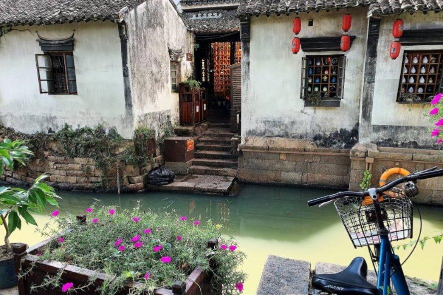 拯救精灵的土地8